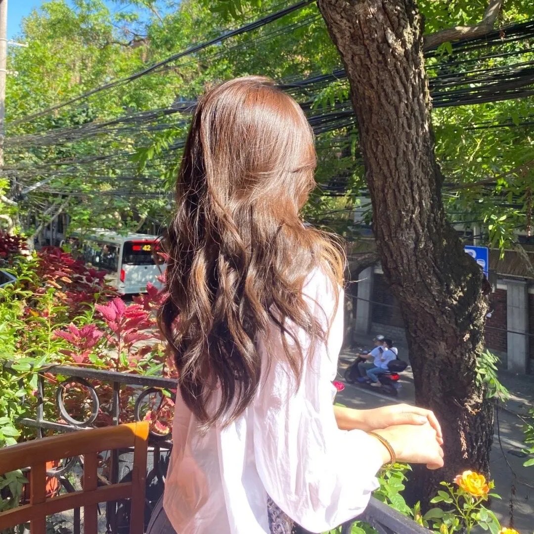 基督山之子